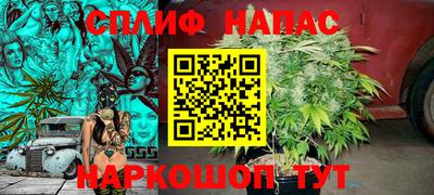 крисы Партизанск