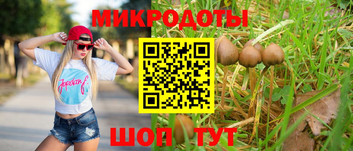 Галлюциногенные грибы Psilocybe  Вход с VPN  Сланцы 